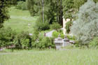 img006.jpg