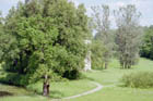 img008.jpg