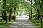 img011.jpg