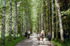 img014.jpg